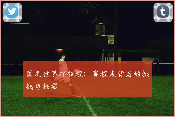 国足世界杯征程：赛程表背后的挑战与机遇