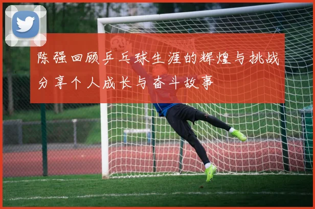 陈强回顾乒乓球生涯的辉煌与挑战分享个人成长与奋斗故事