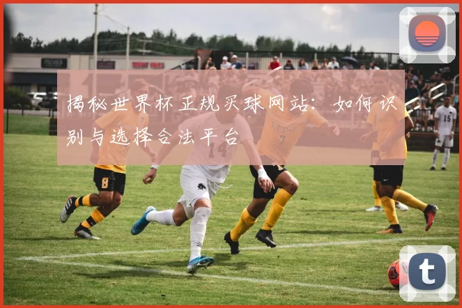 揭秘世界杯正规买球网站:如何识别与选择合法平台