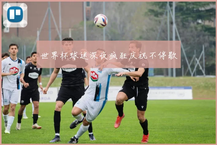 世界杯球迷深夜疯狂庆祝不停歇