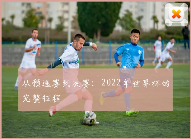 从预选赛到决赛：2022年世界杯的完整征程