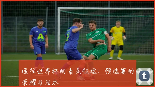 通往世界杯的南美征途:预选赛的荣耀与泪水