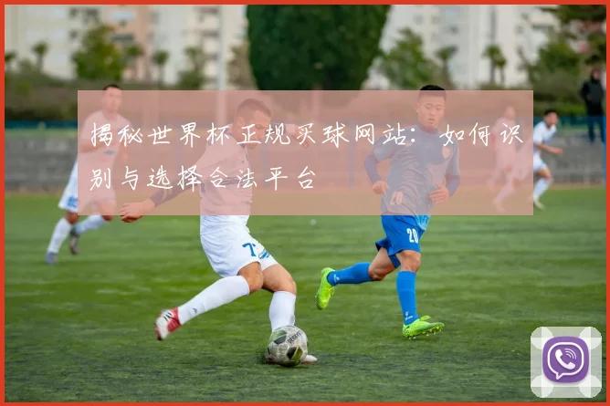 揭秘世界杯正规买球网站:如何识别与选择合法平台