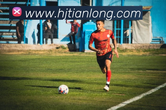 华体会体育平台生态图